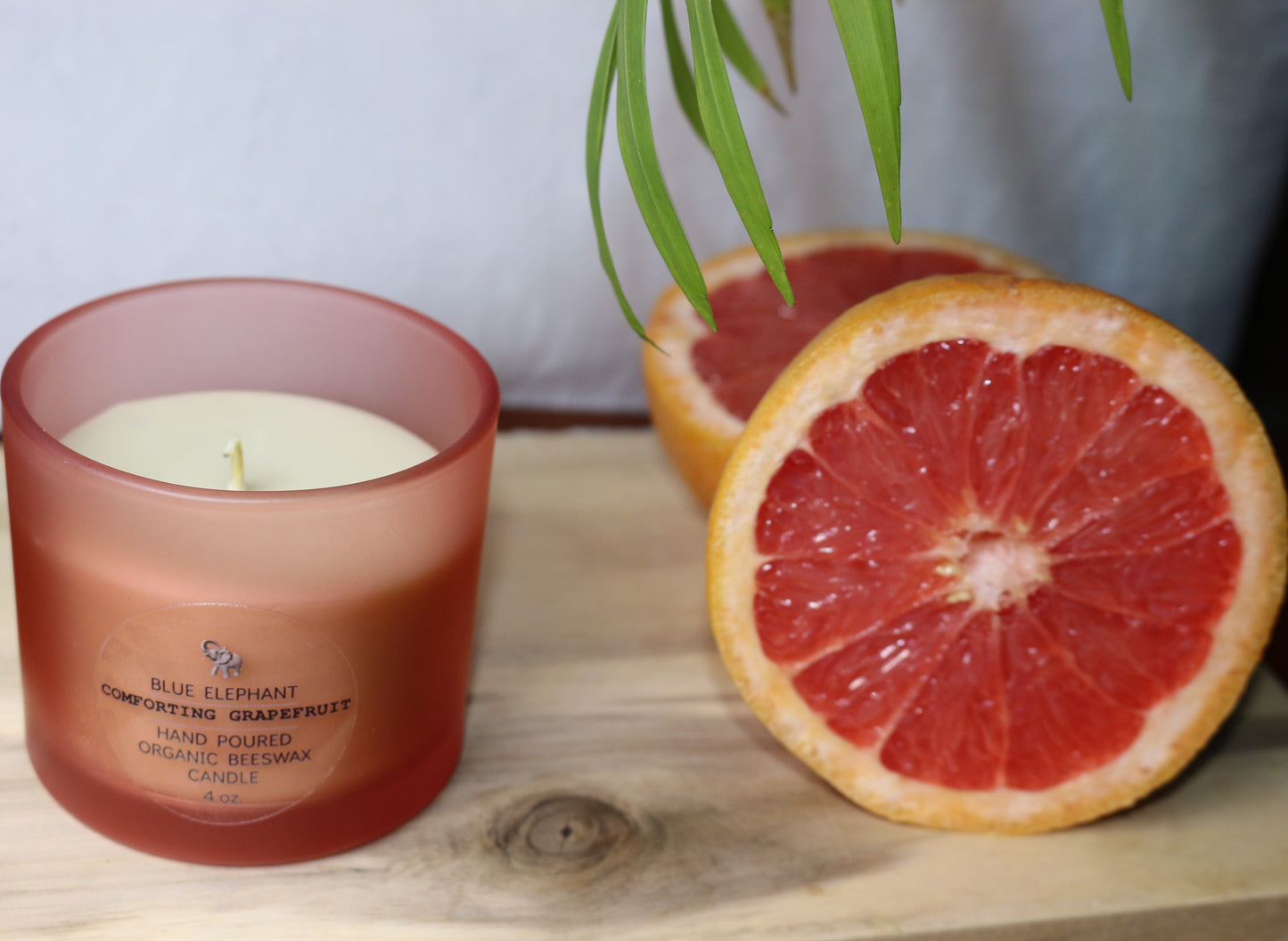 Comforting Grapefruit